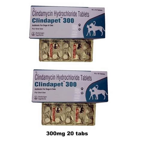 Clindapet 30ml/ 150mg/ 300mg Clindamycin antibiotic for dogs & cats - LoyalPetZone