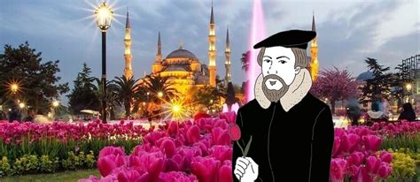 Tulip Symbolism in Calvinism and Islam