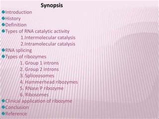 Ribozyme by KK Sahu sir | PPT