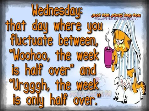 Garfield | Wednesday quotes, Wednesday greetings, Its friday quotes