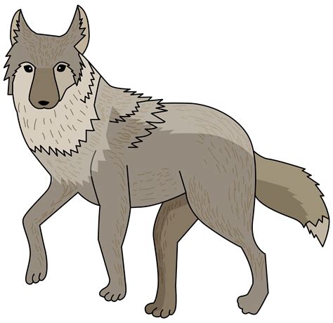 Coyote PNG Transparent - PNG All