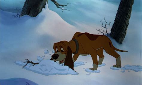 *COPPER ~ The fox and the Hound, 1981 | The fox and the hound, Disney ...