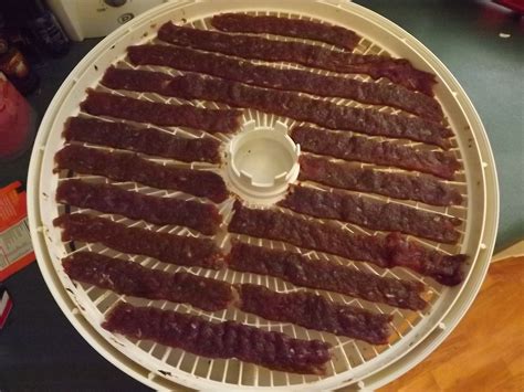 Venison Deer Jerky Recipe - Coupon Savings In The South