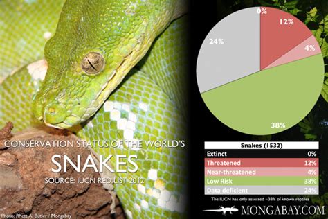 CHART: The world's most endangered snakes