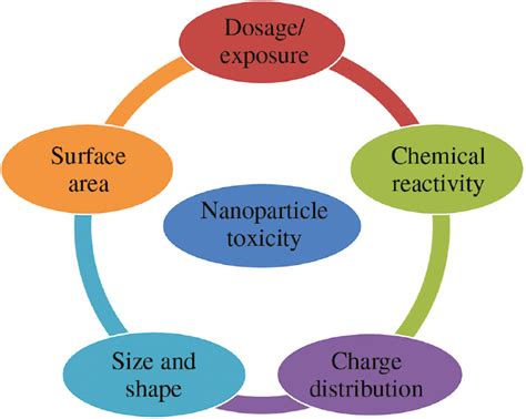 Importance and health hazards of nanoparticles used in the food industry