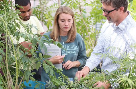 Botany | Undergraduate Studies | Academic Program | Department of Biology | Union University, a ...