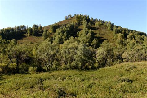 Early Morning in the Mountains of Altai Krai. Western Siberia Stock Photo - Image of september ...