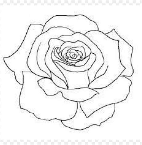 Download png rose outline s clipart png photo | TOPpng