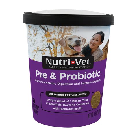 Best Probiotics for Dogs: Keep Your Canine Companion Healthy