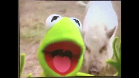 Kermit’s Swamp Years 2002 Trailer Version 5 - YouTube