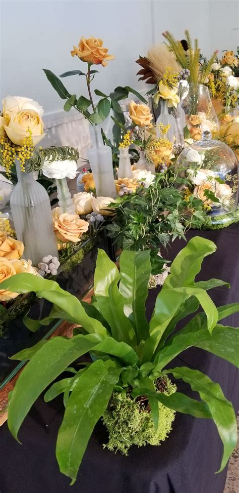 El Paso florists gather for Texas showcase | Local News | elpasoinc.com