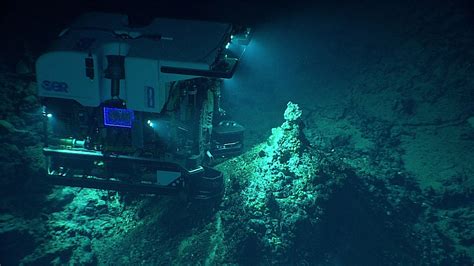 As Pressure Mounts on Seabed Mining Regulators, Deep Ocean Science Remains in the Dark - The ...