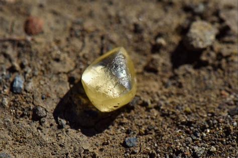 Crater of Diamonds visitor finds 4.38-carat yellow diamond - UPI.com