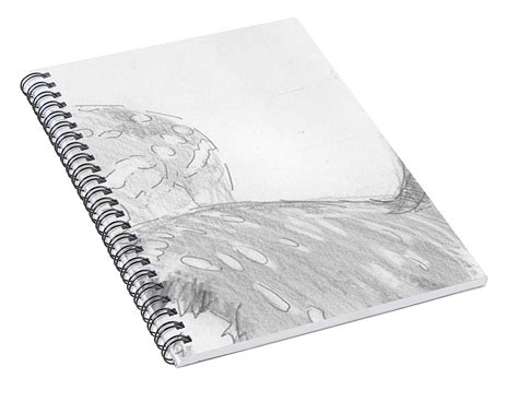 Spiral Notebook Drawing at PaintingValley.com | Explore collection of ...