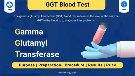 GGT Blood Test: Understanding Key Insights, 03/14/2024