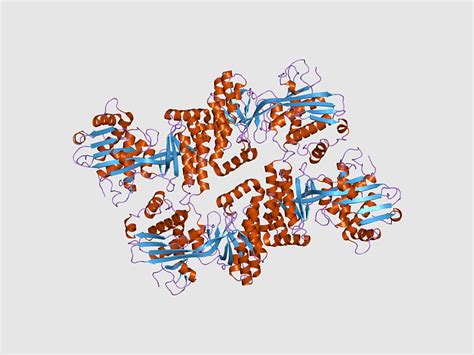 Mvk, Mevalonic acid, Mevalonate pathway, enzyme Commission Number ...