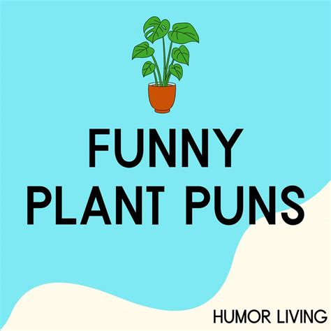 160+ Funny Plant Puns to Grow Laughter - Humor Living