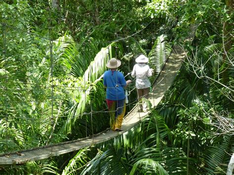 Adventure in the Jungle of Nicaragua - Troy Tours