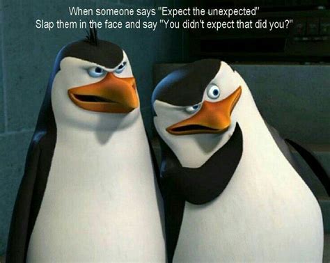 #wattpad #humor Penguins of Madagascar •memes •wallpapers •stuff Penguin Quotes, Penguin Meme ...