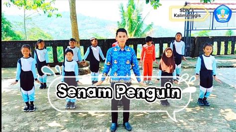 Senam Pinguin Seru dan Lucu - YouTube