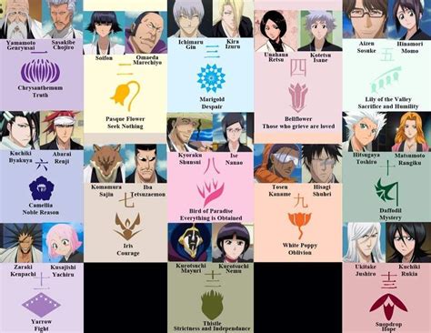 Squad Captains, Lieutenant, & Symbols | Bleach anime, Bleach captains, Bleach characters