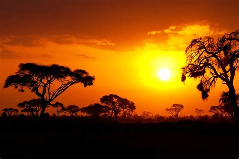 Kenya Tourism (2024): Best of Kenya - Tripadvisor