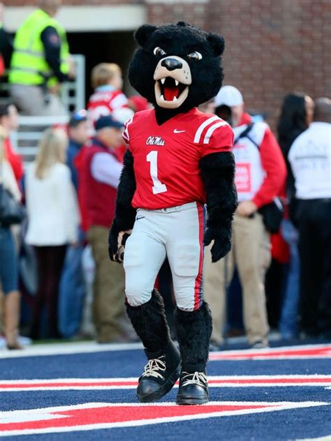 What's next in the Ole Miss mascot process?