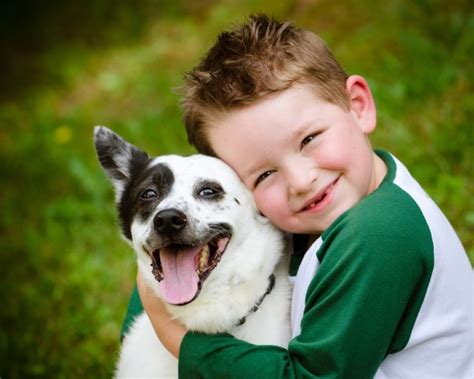 The Role of Pets in Depression and Bullying in Kids {Guest Post ...