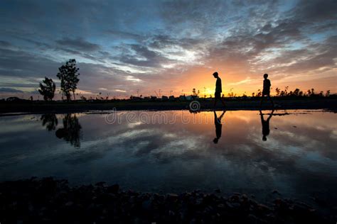 Silhouette Children at Sunset Stock Image - Image of lifestyle, power ...