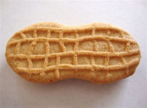 Nutter Butter Peanut Butter Sandwich Cookies – Doyle's Space