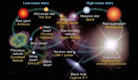 Evolution of Low-Mass and High-Mass Stars