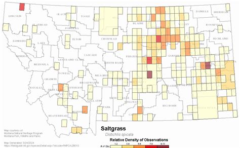 Saltgrass - Montana Field Guide