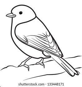 141,361 Bird Outline Drawing Royalty-Free Images, Stock Photos ...