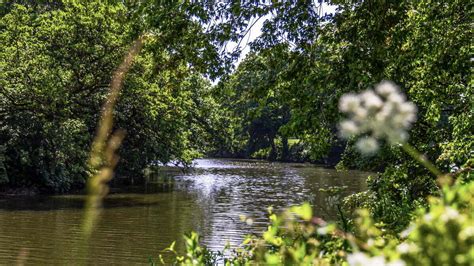 Hidden wildlife in the river Trent and its tributaries - Trent Rivers Trust