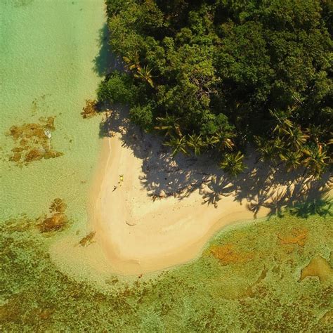 Less know than Punta Cahuita, Punta Vargas is a true Gem. If you come to Cahuita, do not miss ...