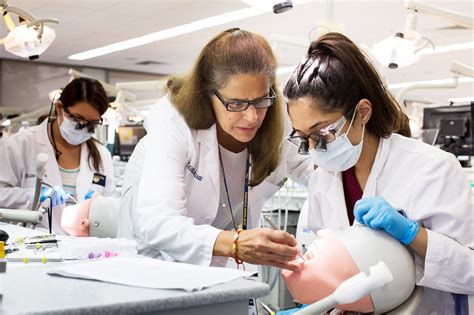 new york university college of dentistry requirements – CollegeLearners.com