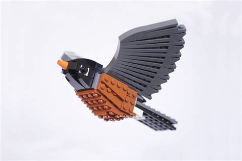 Thomas Poulsom’s LEGO American Birds | Inhabitat - Green Design ...