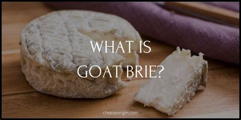 What is Cabrales? Spain’s Artisan Blue Cheese Delight - Cheese Origin