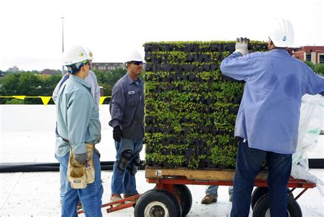 DeVry University, Chicago - Greenroofs.com