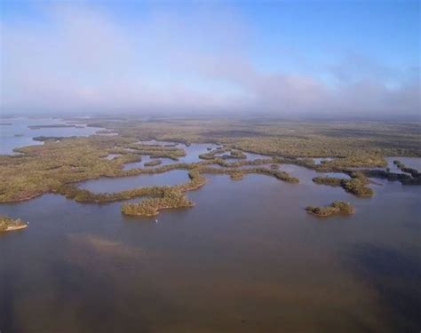 Rookery Bay | National Estuarine Research Reserve