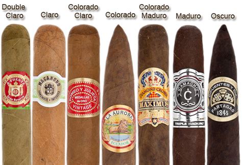 Types Of Cigars: Sizes Shapes Holt's Cigar Company, 48% OFF