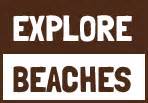 Sand Dwellers | Explore Beaches