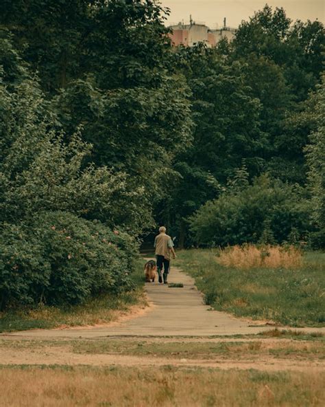 Man Walking Dog in Park · Free Stock Photo