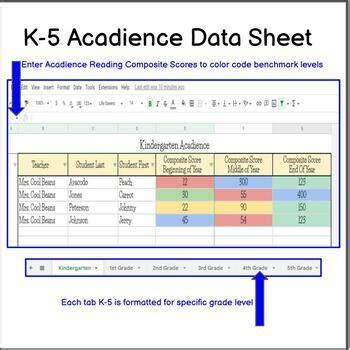 K-5 Acadience Reading Data Sheet by Desert Rose Designs | TPT