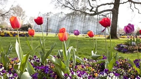 Ballarat Botanical Gardens | Things to do in Ballarat, Melbourne