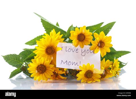 bouquet of yellow daisies on white background Stock Photo - Alamy