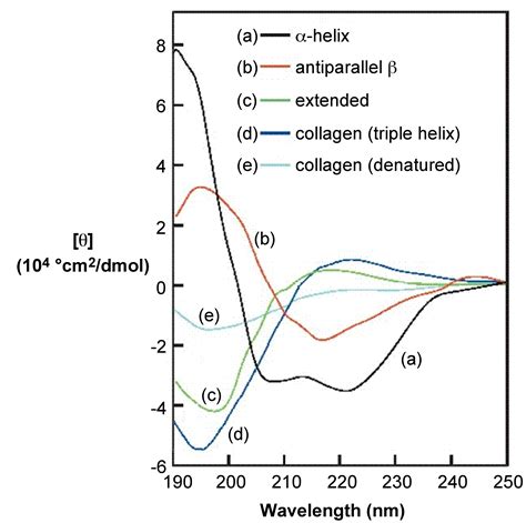 7.7: Circular Dichroism Spectroscopy and its Application for Determination of Secondary ...