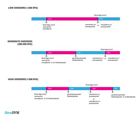 Horse Worming Schedule | Examples and Forms