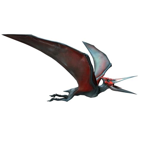 Pteranodon Dinosaurier Alt - Kostenloses Bild auf Pixabay