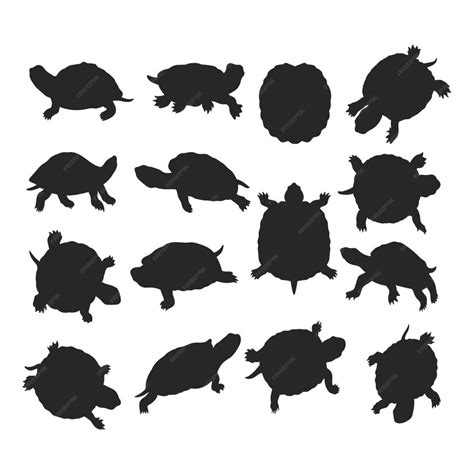 Premium Vector | Silhouette Turtle illustration Turtle vector collection Swimming Hiding Walking